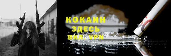 сатива Карталы