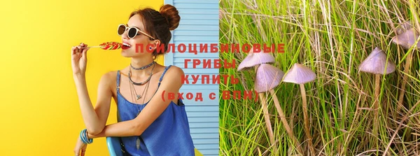 кристаллы Карпинск